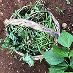 Ebbio And Organic Farm Semesterbostad Monteriggioni
