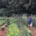 Ebbio And Organic Farm * Monteriggioni