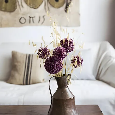 Ebbio Villa&organic Farm Casa vacanze Monteriggioni