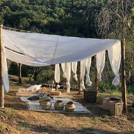 Ebbio Villa&organic Farm *
